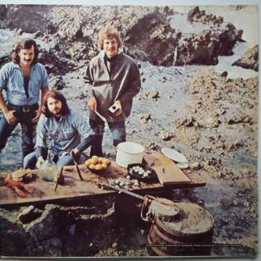 Sweet Pain - Sweet Pain • 12" Vinyl LP • EX - Labyrinth Music