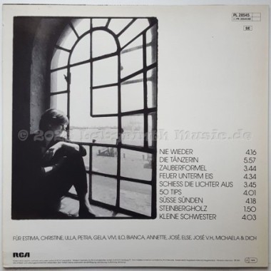 Ulla Meinecke - Wenn Schon Nicht Für Immer Dann Wenigstens Für Ewig • 12" Vinyl LP • EX - Labyrinth Music