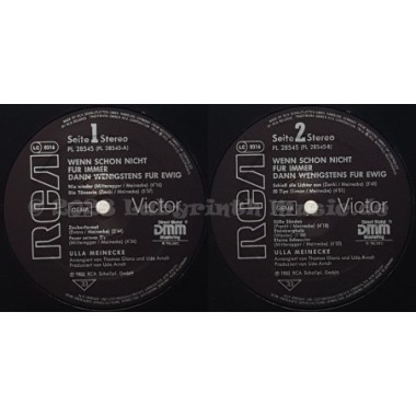 Ulla Meinecke - Wenn Schon Nicht Für Immer Dann Wenigstens Für Ewig • 12" Vinyl LP • EX - Labyrinth Music