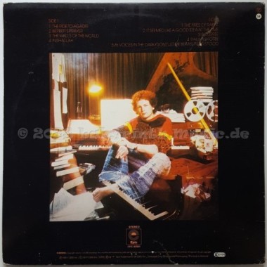 Mike Batt With The London Symphony Orchestra - Schizophonia • 12" Vinyl LP - Labyrinth Music