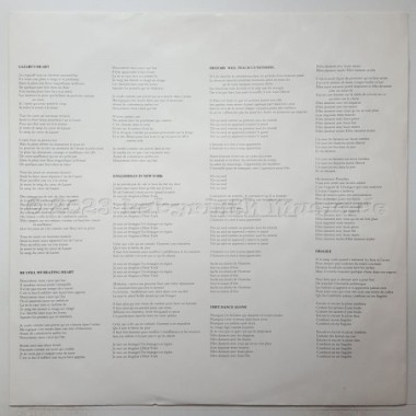 Sting - Nothing Like The Sun • 12" Vinyl LP • NM - Labyrinth Music