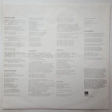 Sting - Nothing Like The Sun • 12" Vinyl LP • NM - Labyrinth Music