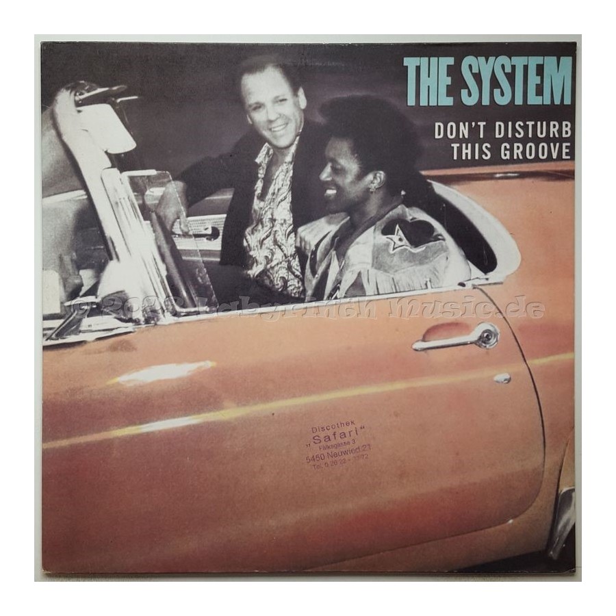 The System - Don't Disturb This Groove • 12" Vinyl Maxi - Labyrinth Music