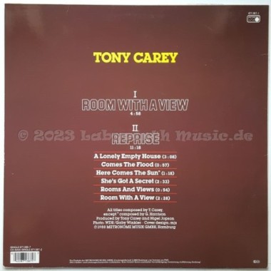 Tony Carey - Room With A View • 12" Vinyl Maxi • EX - Labyrinth Music