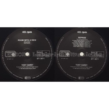 Tony Carey - Room With A View • 12" Vinyl Maxi • EX - Labyrinth Music