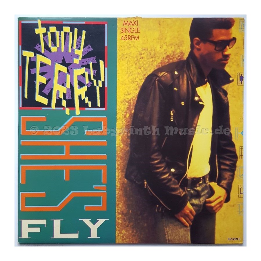 Tony Terry - She's Fly • 12" Vinyl Maxi - Labyrinth Music