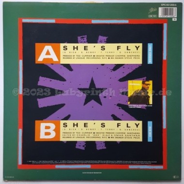 Tony Terry - She's Fly • 12" Vinyl Maxi - Labyrinth Music