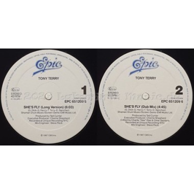 Tony Terry - She's Fly • 12" Vinyl Maxi - Labyrinth Music