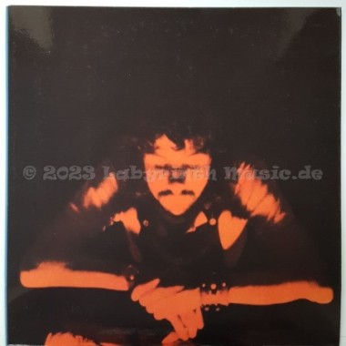 Cat Stevens - Tea For The Tillerman • 12" Vinyl LP - Labyrinth Music