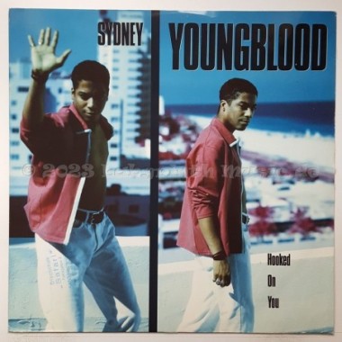 Sydney Youngblood - Hooked On You • 12" Vinyl Maxi - Labyrinth Music