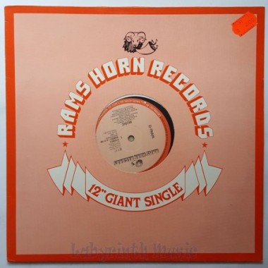 Funk Machine - Dance On The Groove (And Do The Funk) • 12" Vinyl Maxi • MINT - Labyrinth Music