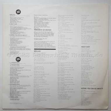 The Manhattan Transfer - Extensions • 12" Vinyl LP • EX - Labyrinth Music