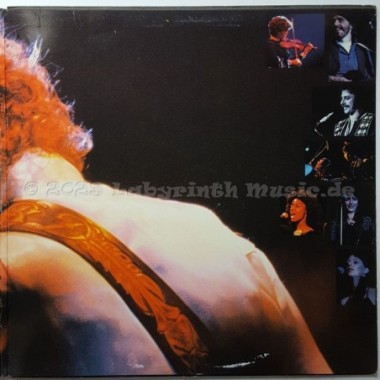 Bob Dylan - Bob Dylan At Budokan • 12" Vinyl LP - Labyrinth Music