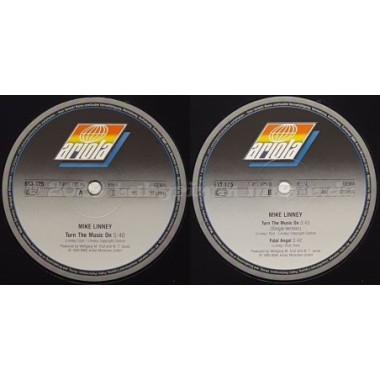 Mike Linney - Turn The Music On • 12" Vinyl Maxi • EX - Labyrinth Music