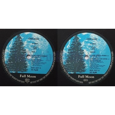 Chicago - Along Comes A Woman • 12" Vinyl Maxi - Labyrinth Music