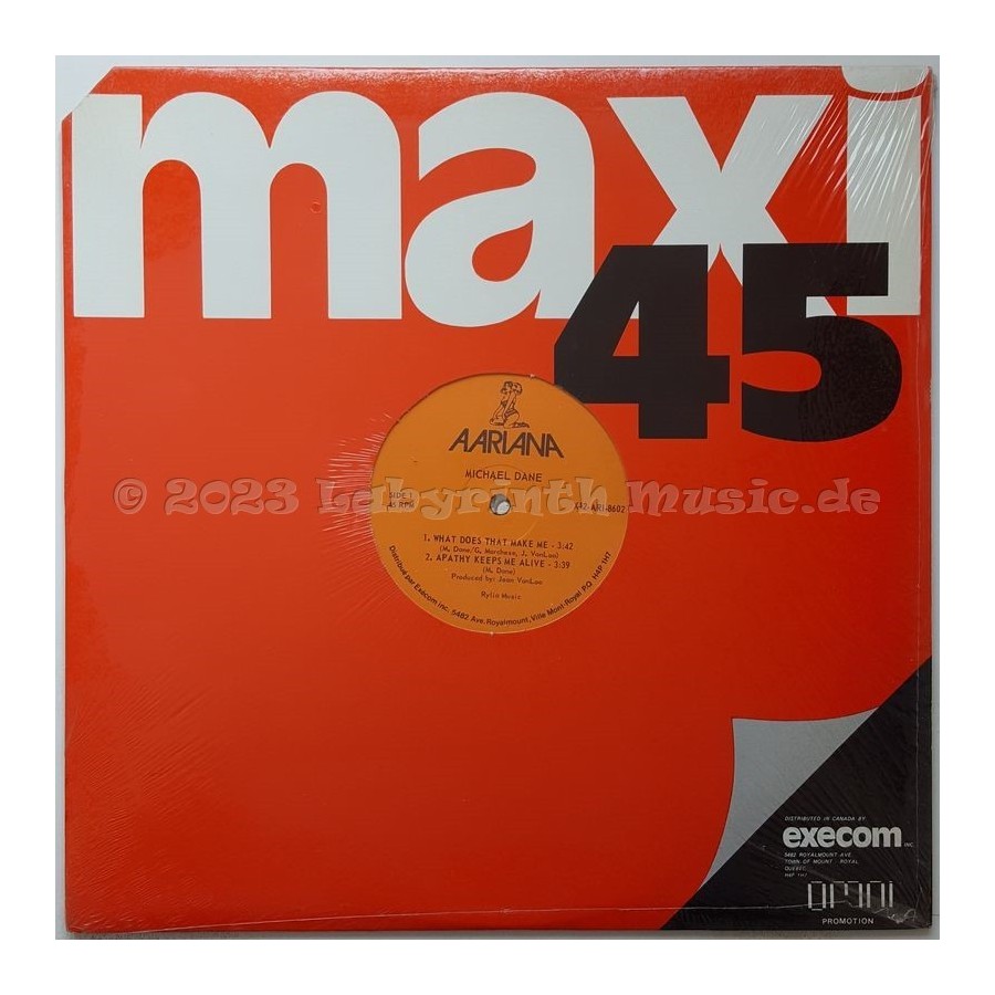 Michael Dane - Michael Dane • 12" Vinyl Maxi • MINT - Labyrinth Music