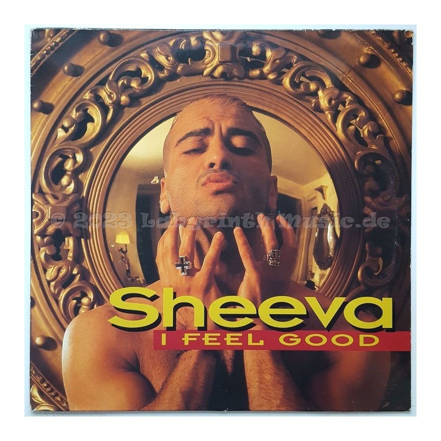 Sheeva - I Feel Good • 12" Vinyl Maxi • EX - Labyrinth Music