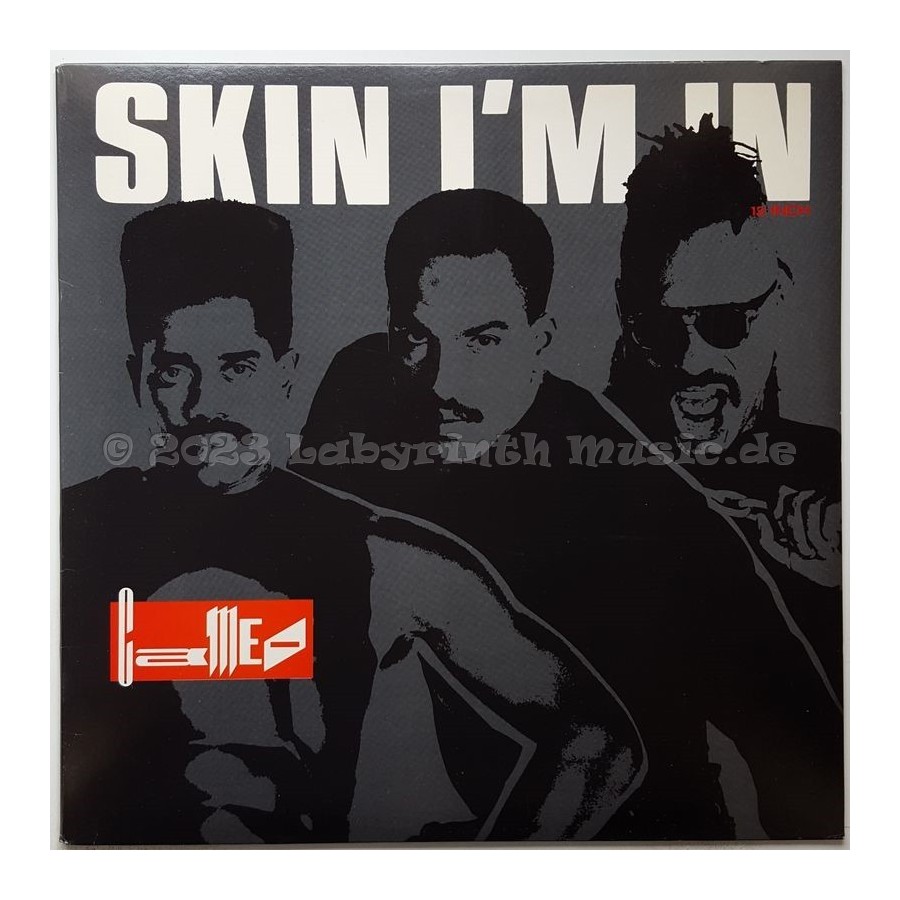 Cameo - Skin I'm In • 12" Vinyl Maxi • MINT - Labyrinth Music