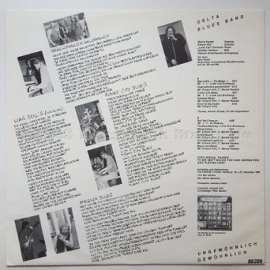 Delta Blues Band - Ungewöhnlich Gewöhnlich • 12" Vinyl LP • MINT - Labyrinth Music
