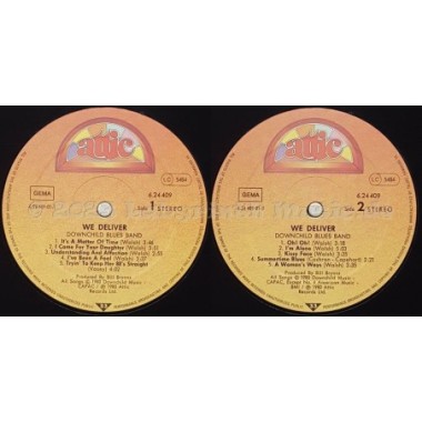 Downchild Blues Band - We Deliver • 12" Vinyl LP • MINT - Labyrinth Music