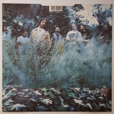 Natural Life - Strange World • 12" Vinyl Maxi • MINT - Labyrinth Music