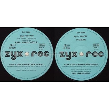 The Silent Underdog - Papa's Got A Brand New Pigbag • 12" Vinyl Maxi - Labyrinth Music