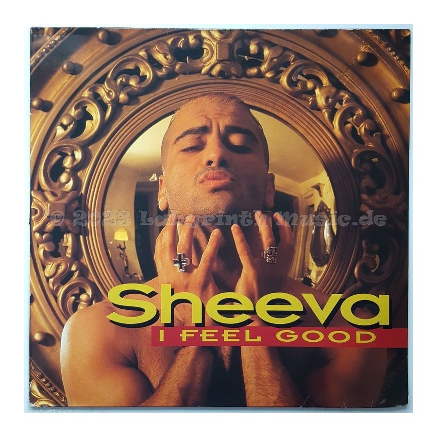 Sheeva - I Feel Good • 12" Vinyl Maxi • EX - Labyrinth Music