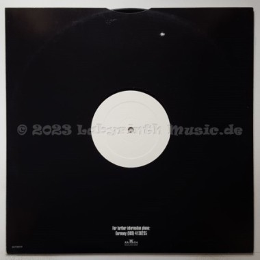 Ta-2 - Rave Little Bird • 12" Vinyl Maxi • EX - Labyrinth Music