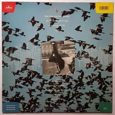 Al Corley - Riot Of Color • 12" Vinyl LP • EX - Labyrinth Music