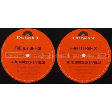 Freddy Breck - Seine Grossen Erfolge • 12" Vinyl LP • NM - Labyrinth Music