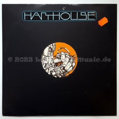 Holocube - Noizology • 12" Vinyl Maxi - Labyrinth Music