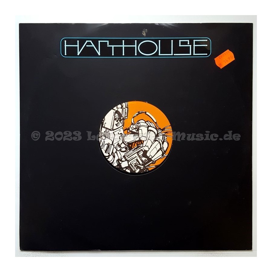 Holocube - Noizology • 12" Vinyl Maxi - Labyrinth Music