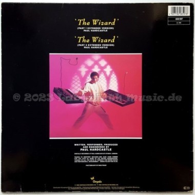 Paul Hardcastle - The Wizard • 12" Vinyl Maxi - Labyrinth Music