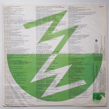 Ziggy Marley And The Melody Makers - Conscious Party • 12" Vinyl LP - Labyrinth Music