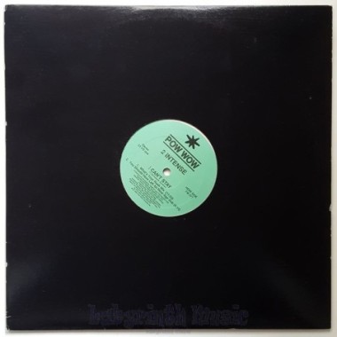 2 Intense - I'll Be There • 12" Vinyl Maxi - Labyrinth Music