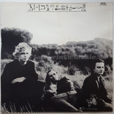 I.A.O. - Jamming In The Parabolic Mirror Of The Lord • 12" Vinyl LP - Labyrinth Music