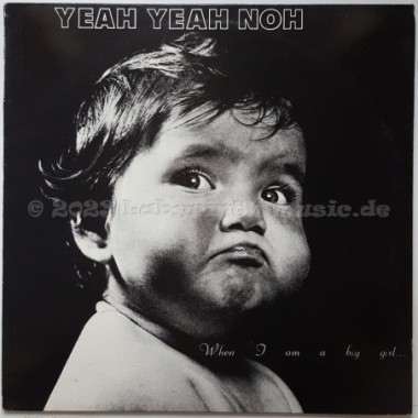 Yeah Yeah Noh - When I Am A Big Girl • 12" Vinyl LP • EX - Labyrinth Music