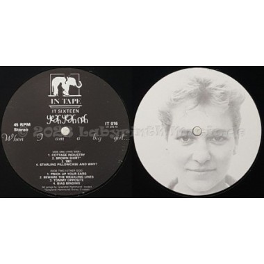 Yeah Yeah Noh - When I Am A Big Girl • 12" Vinyl LP • EX - Labyrinth Music