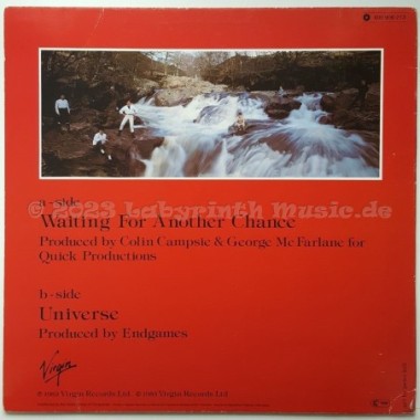 Endgames - Waiting For Another Chance • 12" Vinyl Maxi - Labyrinth Music
