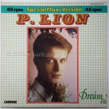 P. Lion - Dream • 12" Vinyl Maxi - Labyrinth Music