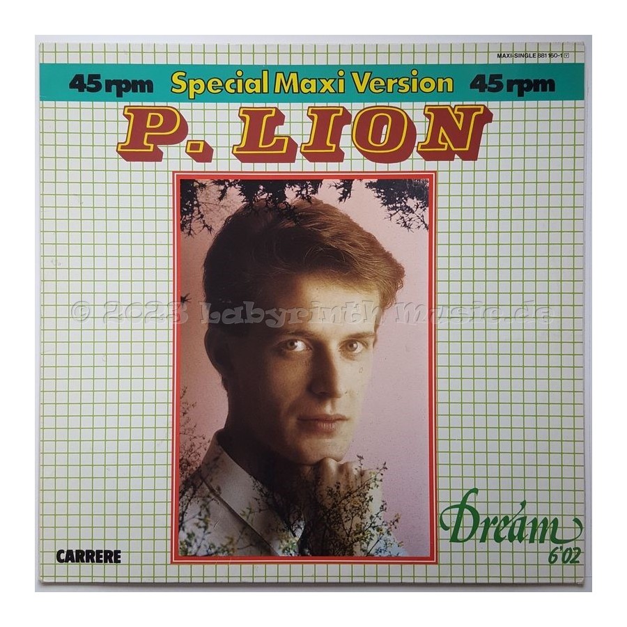 P. Lion - Dream • 12" Vinyl Maxi - Labyrinth Music