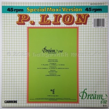 P. Lion - Dream • 12" Vinyl Maxi - Labyrinth Music