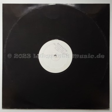 DJ Paul One vs. Dave Scott - House Trip • 12" Vinyl Maxi - Labyrinth Music