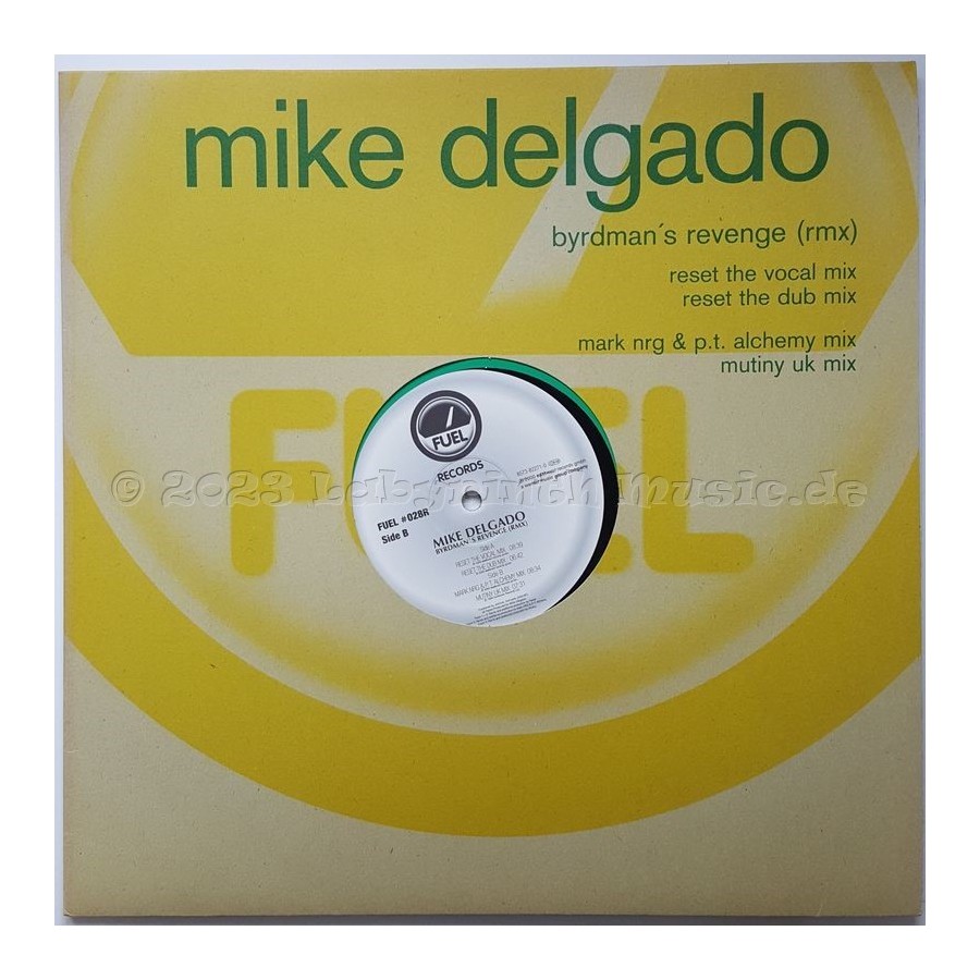 Mike Delgado - Byrdman's Revenge • Remix • 12" Vinyl Maxi • MINT - Labyrinth Music