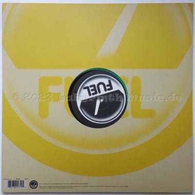 Mike Delgado - Byrdman's Revenge • Remix • 12" Vinyl Maxi • MINT - Labyrinth Music