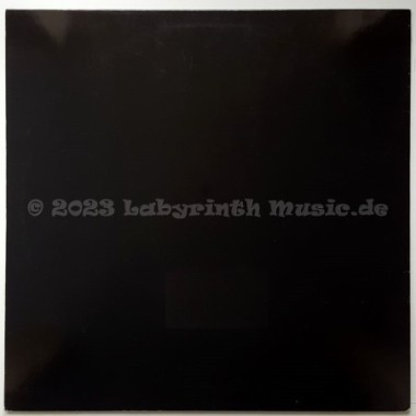 Robin Chase - Satisfy • 12" Vinyl Maxi - Labyrinth Music