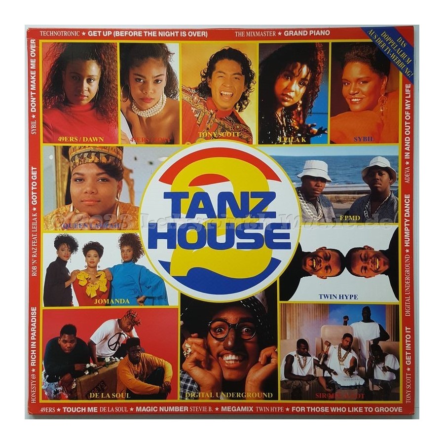 Various - Tanz House 2 • 12" Vinyl LP • MINT - Labyrinth Music