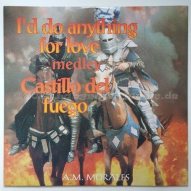 A.M. Morales - I'd Do Anything For Love • 12" Vinyl Maxi - Labyrinth Music