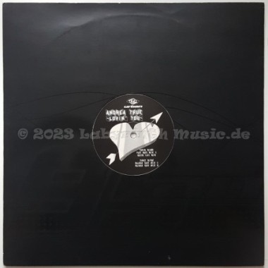 Andrea True - Lovin' You • 12" Vinyl Maxi • EX - Labyrinth Music