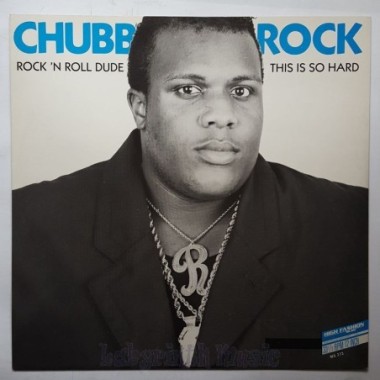 Chubb Rock - Rock 'n Roll Dude  • 12" Vinyl Maxi • NM - Labyrinth Music